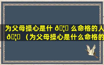 为父母操心是什 🦄 么命格的人 🦍 （为父母操心是什么命格的人呢）